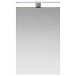 vidaXL Armoire Miroir de Salle de Bain Chêne fumé 40 x 10 5 x 60 5 cm