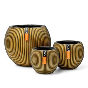 Capi Ensemble de pot de fleurs boule Groove doré