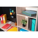 Trieur HARMONIKA à fenêtres et élastiques carte lustrée 24 comp. Bleu EXACOMPTA