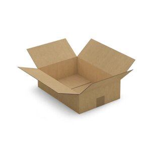 Carton d'emballage 35 x 25 x 10 cm - Simple cannelure