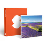 SMARTBOX - Coffret Cadeau Vol en hélicoptère de 30 min pour 2 personnes au-dessus de Valensole et ses environs -  Sport & Aventure