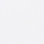 vidaXL Auvent latéral rétractable blanc 117x300 cm