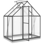 vidaXL Serre avec cadre de base anthracite 169x114x202 cm aluminium