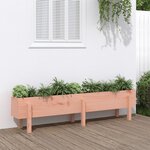 vidaXL Lit surélevé de jardin 160x30x38 cm bois douglas massif