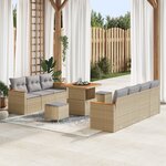 vidaXL Ensemble de Canapés de Jardin de 10 Pièces avec Coussins Beige Rotin Synthétique Acacia
