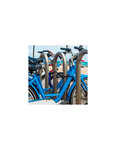 THIRARD - Antivol à clé Twisty  câble acier  vélo  12mmx1.8m  2 clés  noir