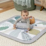 Tapis d'éveil évolutif Sprout Spot  12 cartes évolutives et 5 jouets détachables