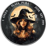 Pièce de monnaie en Argent g 31.1 (1 oz) Millésime 2024 NIGHT LADY