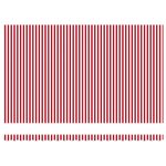 vidaXL Auvent Rouge et Blanc 500 × 300 cm Polyester et métal