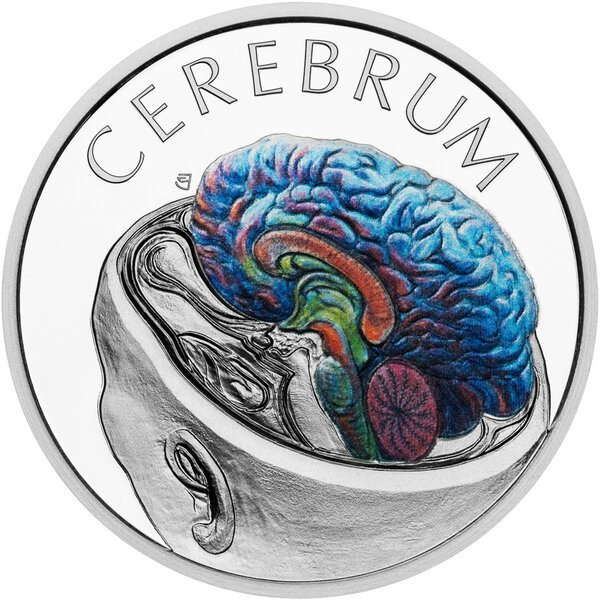 Monnaie BRAIN Human Body 1 Oz Argent 1$ Niue 2026