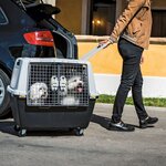 Stefanplast Cage pour animaux Gulliver Touring 80x58x62 cm Gris 81340