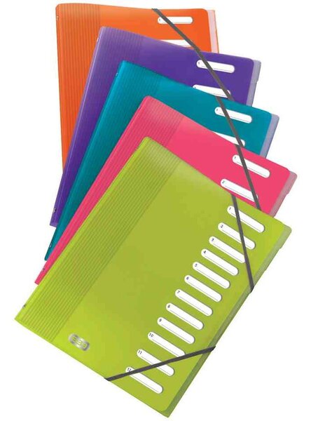 Trieur 'School Life' 8 positions A4 PP Coloris Aléatoire ELBA