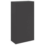 vidaXL Boîte de dépôt de colis avec porte Noir 44 x 22 x 82 cm Acier