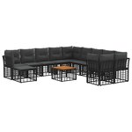 vidaXL Ensemble de canapés d'extérieur 12 Pièces Noir et Gris foncé