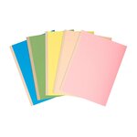 Paquet de 10 chemises à dos toilé, carte 320 grammes, dos 3cm, 24x32cm, coloris ass... EXACOMPTA