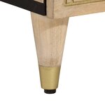 vidaXL Meuble TV 105x33x46 cm Bois massif de manguier