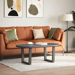vidaXL Pieds de table basse en forme de V  2 pièces  anthracite  60 x (42-43 3) cm  acier