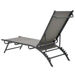 vidaXL Chaises longues lot de 2 Textilène et acier