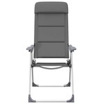 vidaXL Chaise de camping lot de 2 Gris 58x69x111 cm Aluminium