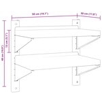 vidaXL Étagère murale à 2 niveaux 50x30x60 cm argenté acier inoxydable
