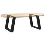 vidaXL Pieds de table basse en U 2 pièces Noir 70 x (42-43) cm Acier