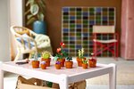 LEGO Botanicals - Plantes Miniatures - Ensemble de Construction 10329 pour Décoration Intérieure