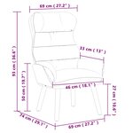 vidaXL fauteuil Gris clair 69 x 74 x 93 cm Velours