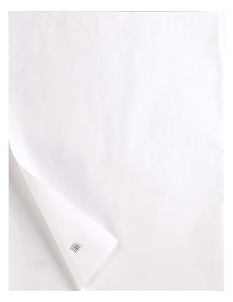 Rame de 10 feuilles de papier calque 400g A4 transparent CLAIREFONTAINE