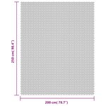 vidaXL Tapis de sol de camping gris clair 2 5x2 m