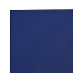 vidaXL Bâche bleu 5x5 m 650 g/m²