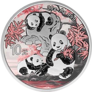 Pièce de monnaie en Argent 10 Yuan g 30 Millésime 2025 PANDA