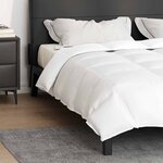 vidaXL Duvet d'été simple Blanc 200 x 200 cm Plume