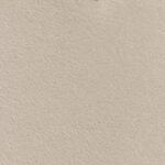 vidaXL Couvertures à jeter 6 Pièces Beige 270 x 240 cm Toison