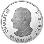 Pièce de monnaie en Argent 20 Dollars g 31.39 Millésime 2025 RAVEN