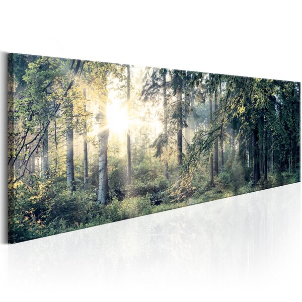 Tableau - morning magic l x h en cm 120x40