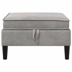 vidaXL Pouf avec Rangement Gris clair Velours