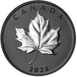 Pièce de monnaie en Argent 20 Dollars g 31.39 Millésime 2025 ELEGANT MAPLE