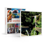 SMARTBOX - Coffret Cadeau Session de 2 sauts à l'élastique de 65 mètres au viaduc de la Recoumène -  Sport & Aventure