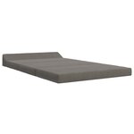 vidaXL Canapé-lit pliable Gris clair 120 x 60 x 49 cm Tissu