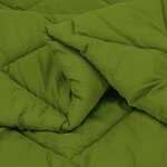 vidaXL Duvet complet toute l'année Vert 200 x 140 cm Microfibre