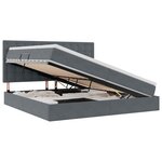 vidaXL Lit avec rangement et matelas Gris foncé 200 x 200 cm Velours