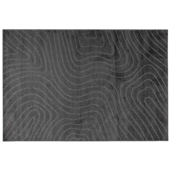 vidaXL Tapis de surface HUARTE Anthracite 170 x 120 cm Polyester