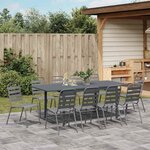 vidaXL Ensemble de salle à manger pour jardin 11 Pièces Anthracite Acier
