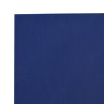 vidaXL Bâche bleu 4x8 m 650 g/m²