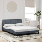 vidaXL Cadre de lit avec LED sans matelas Hanko gris foncé 160x200cm velours