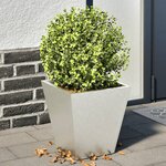 vidaXL Jardinières 2 Pièces 30x30x30 cm acier inoxydable
