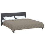 vidaXL Duvet d'été simple Gris clair 240 x 200 cm Microfibre