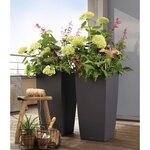 LECHUZA Jardinière Cubico Color 40 ALL-IN-ONE ardoise 13158
