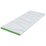 vidaXL Coussins de Matelas Blanc et vert 80 x 200 cm