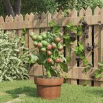 vidaXL Supports pour plantes de jardin 3 anneaux 5Pièces Vert 45 cm Acier